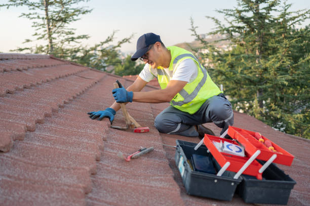 Best Commercial Roofing Services  in Seis Lagos, TX