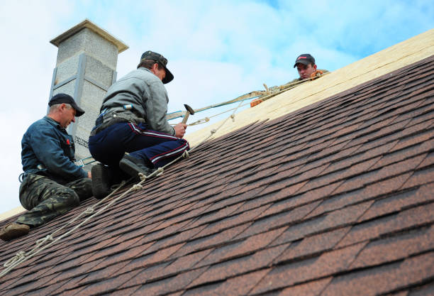 Best Roof Waterproofing Services  in Seis Lagos, TX